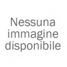 Audiogamma